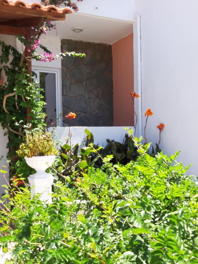 Studio Garden View
