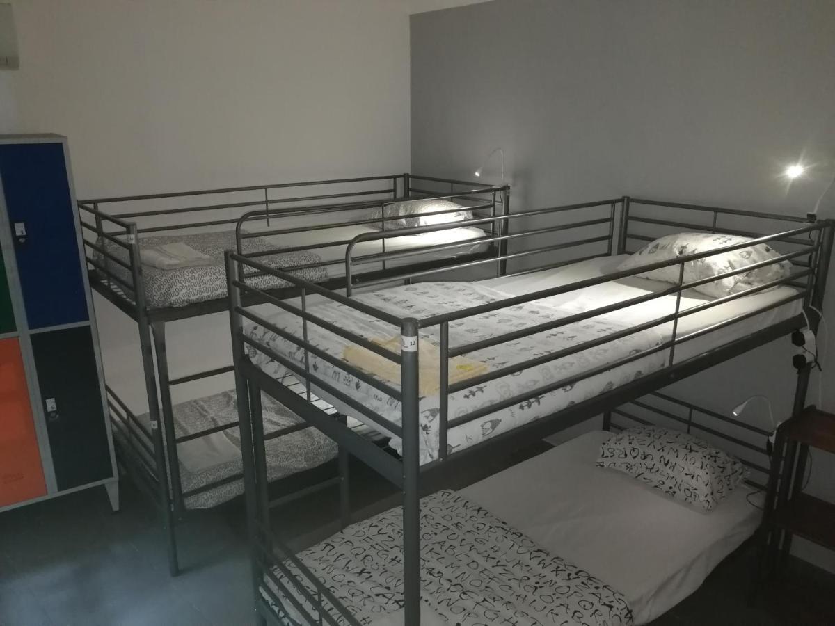 Bunk Bed Mixed Dormitory Room