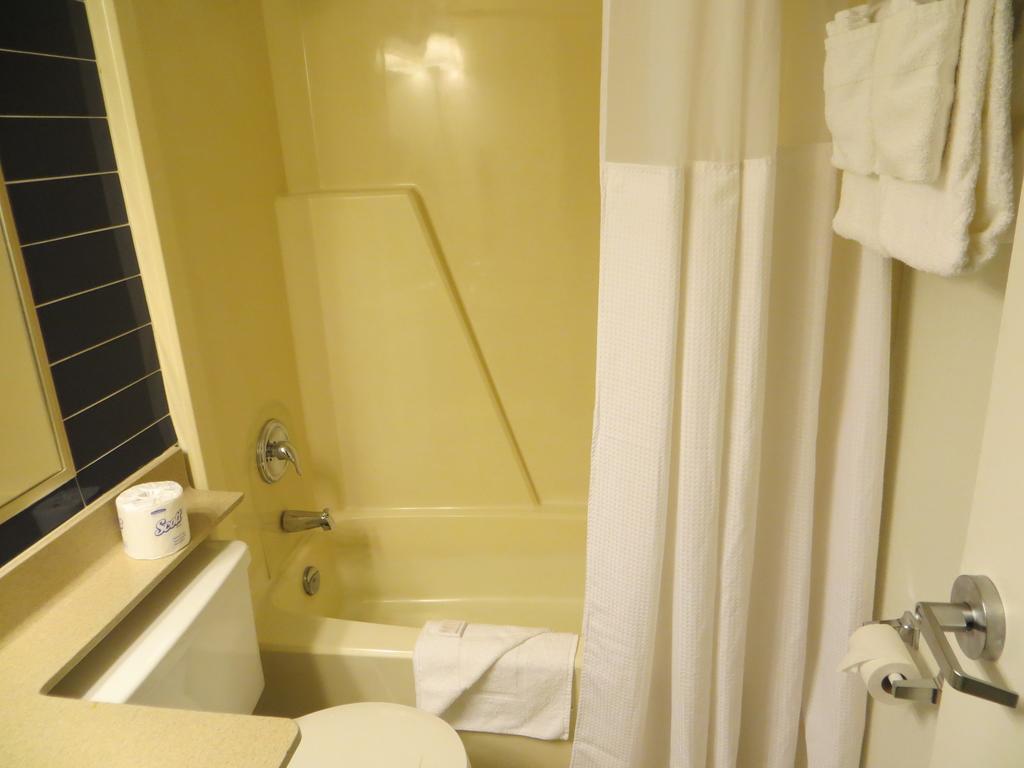 Deluxe Suite met Kingsize Bed - Rookvrij