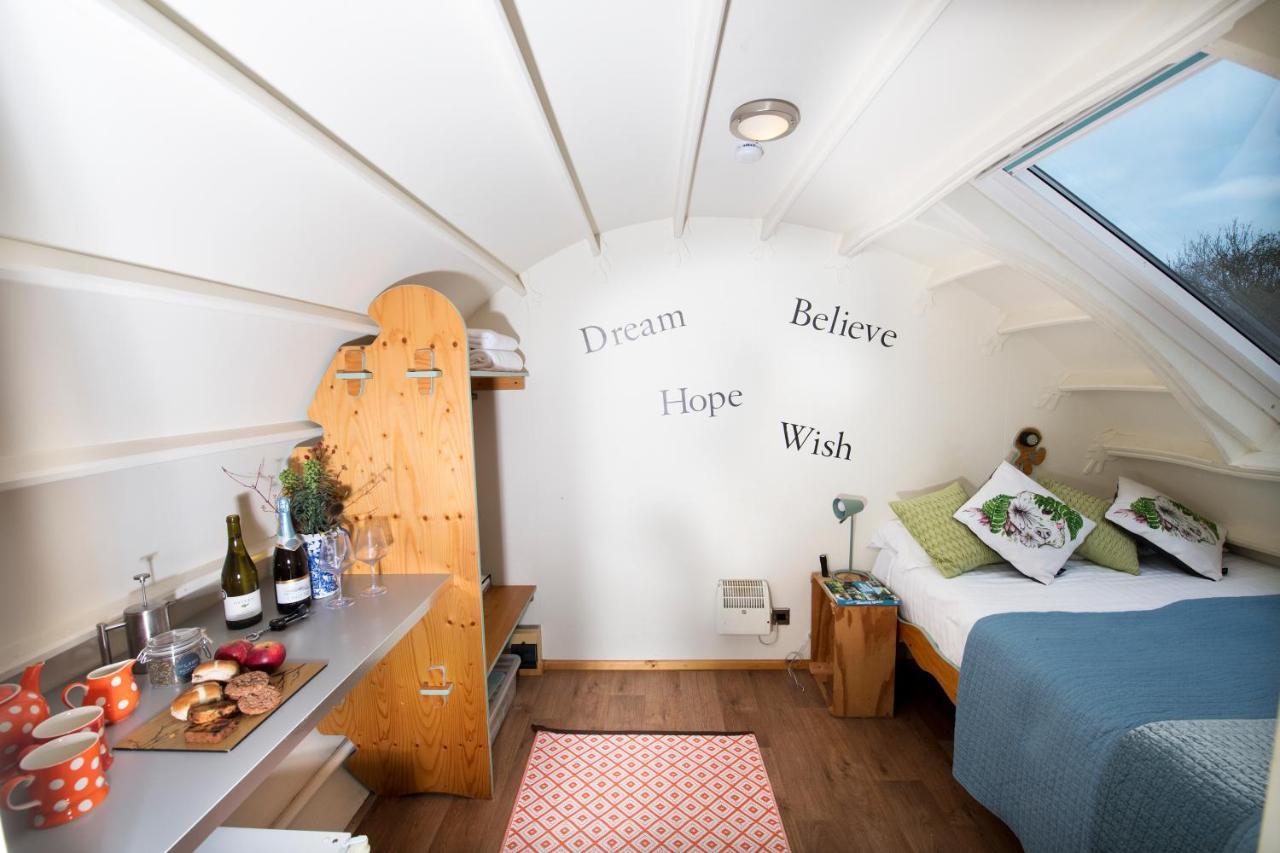Glamping Pod Dog Friendly