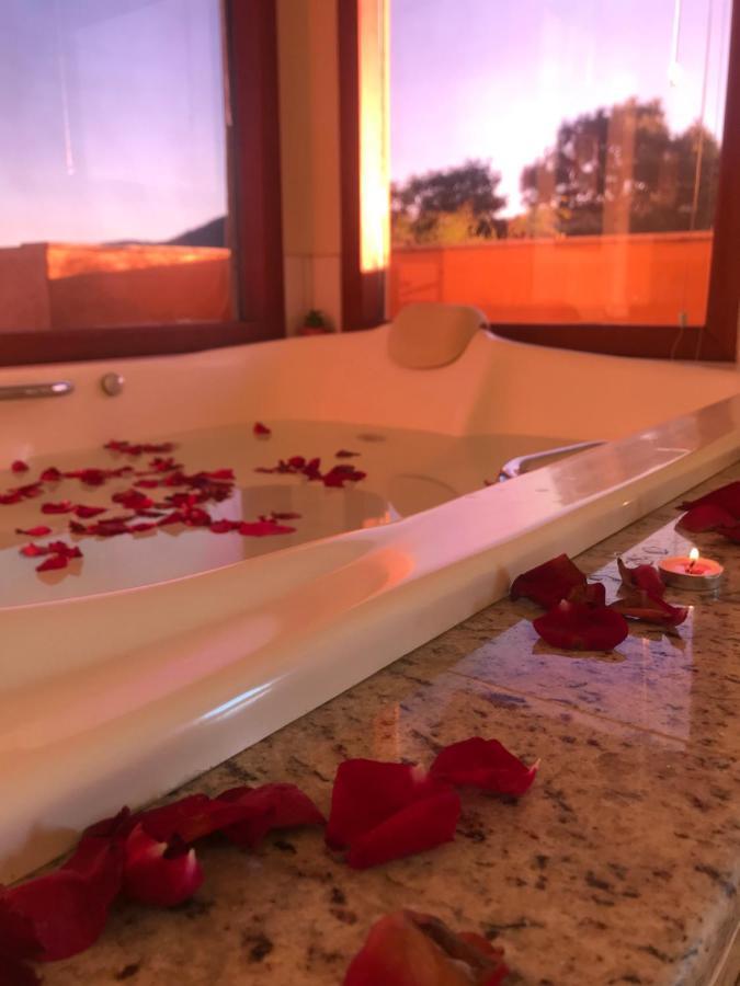 Queen Suite Spa Bath Environmental Reserve Mountain View