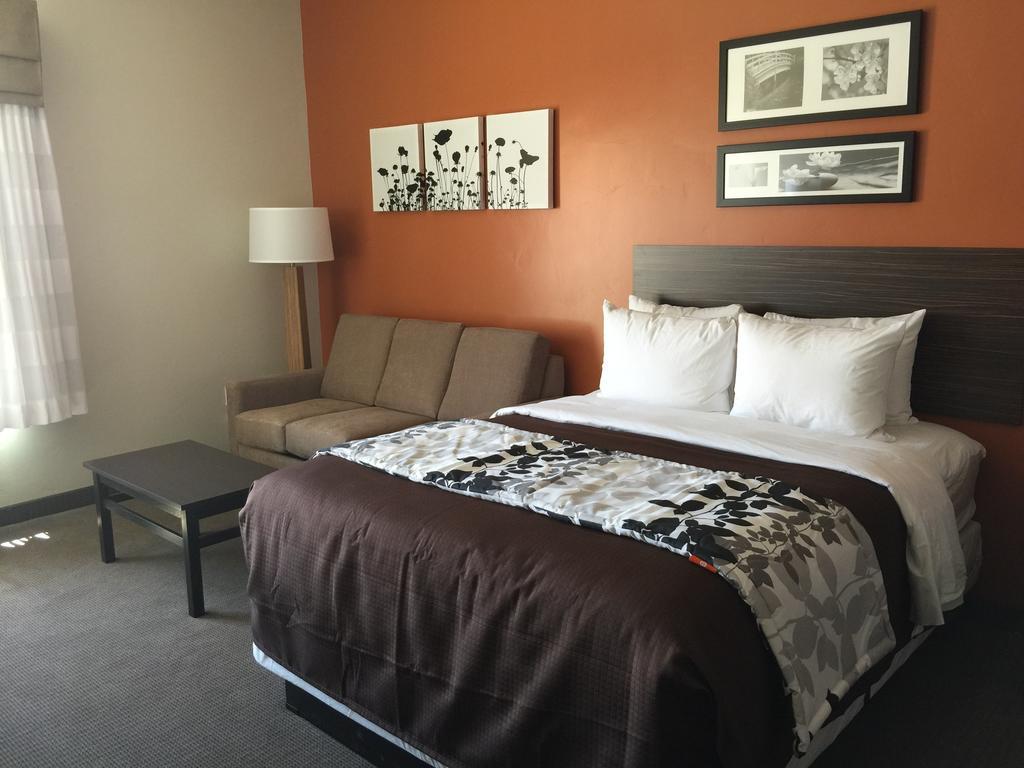 Kamer met Kingsize Bed en Slaapbank - Rookvrij