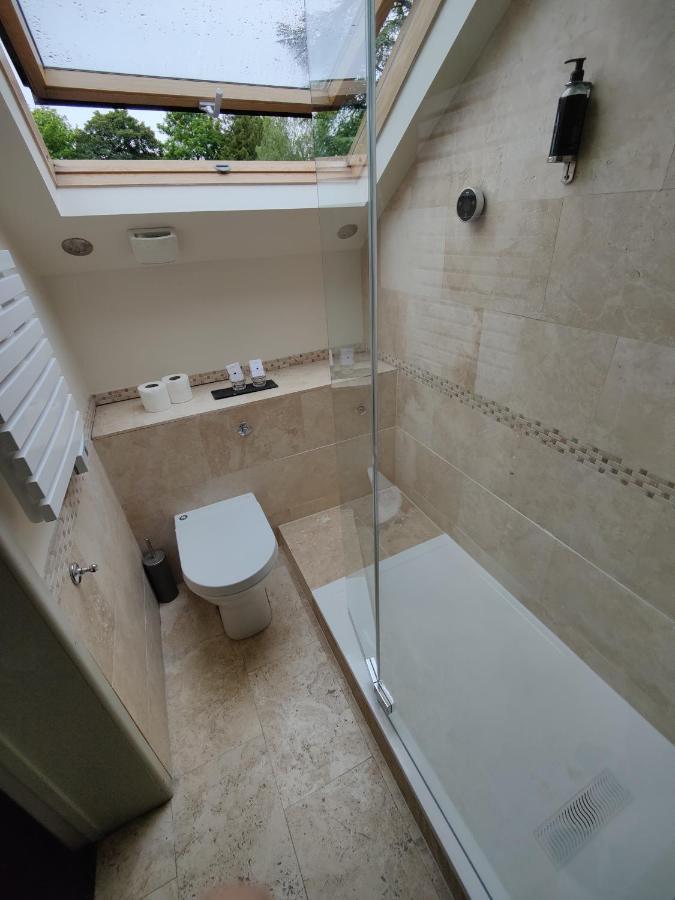 Executive King Room Garden or City View
