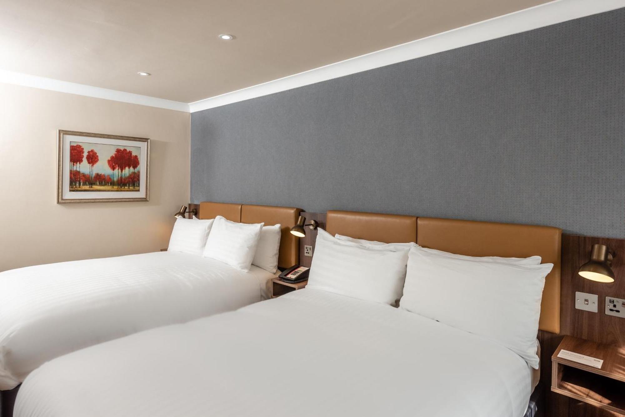 Standard Double Room with Two Double Beds