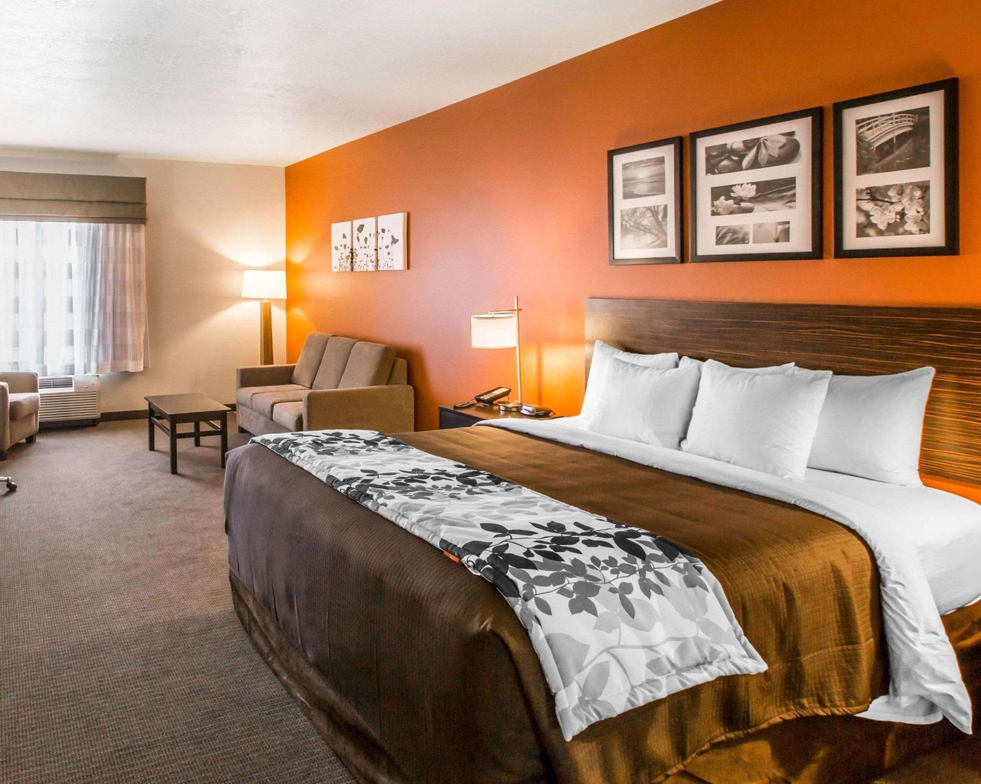 Junior Suite met 1 Kingsize Bed - Rookvrij
