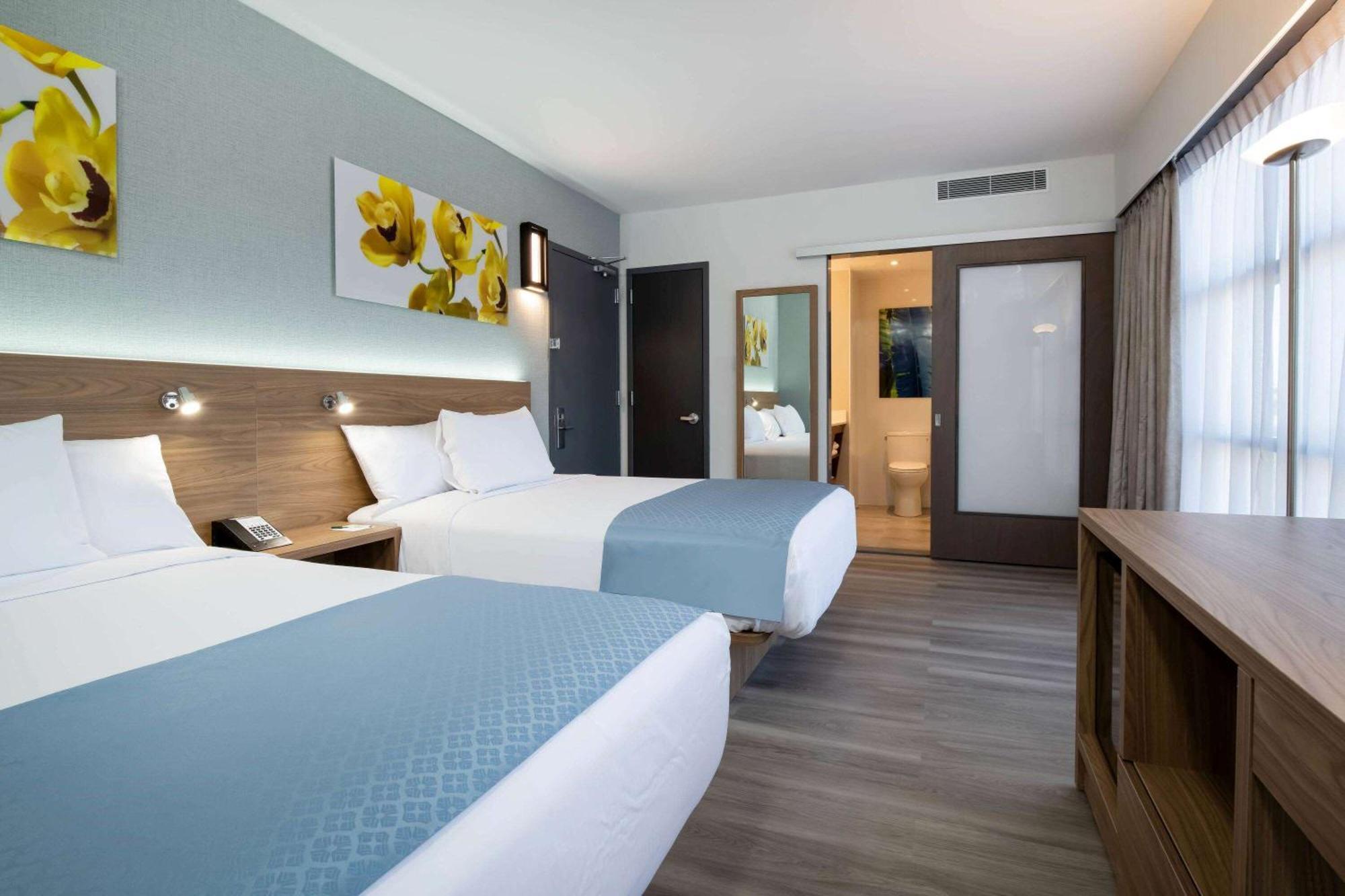 Chambre Double avec 2 Lits Doubles - Non-Fumeurs