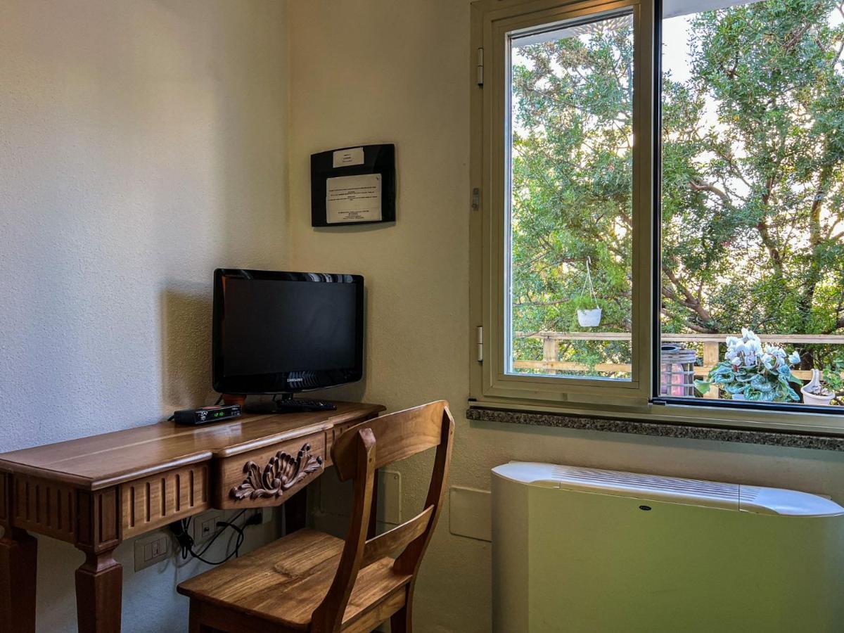 Twin Room Garden View