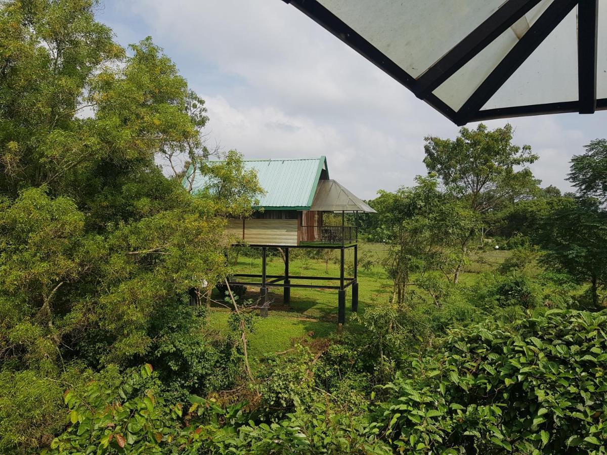 Tree House