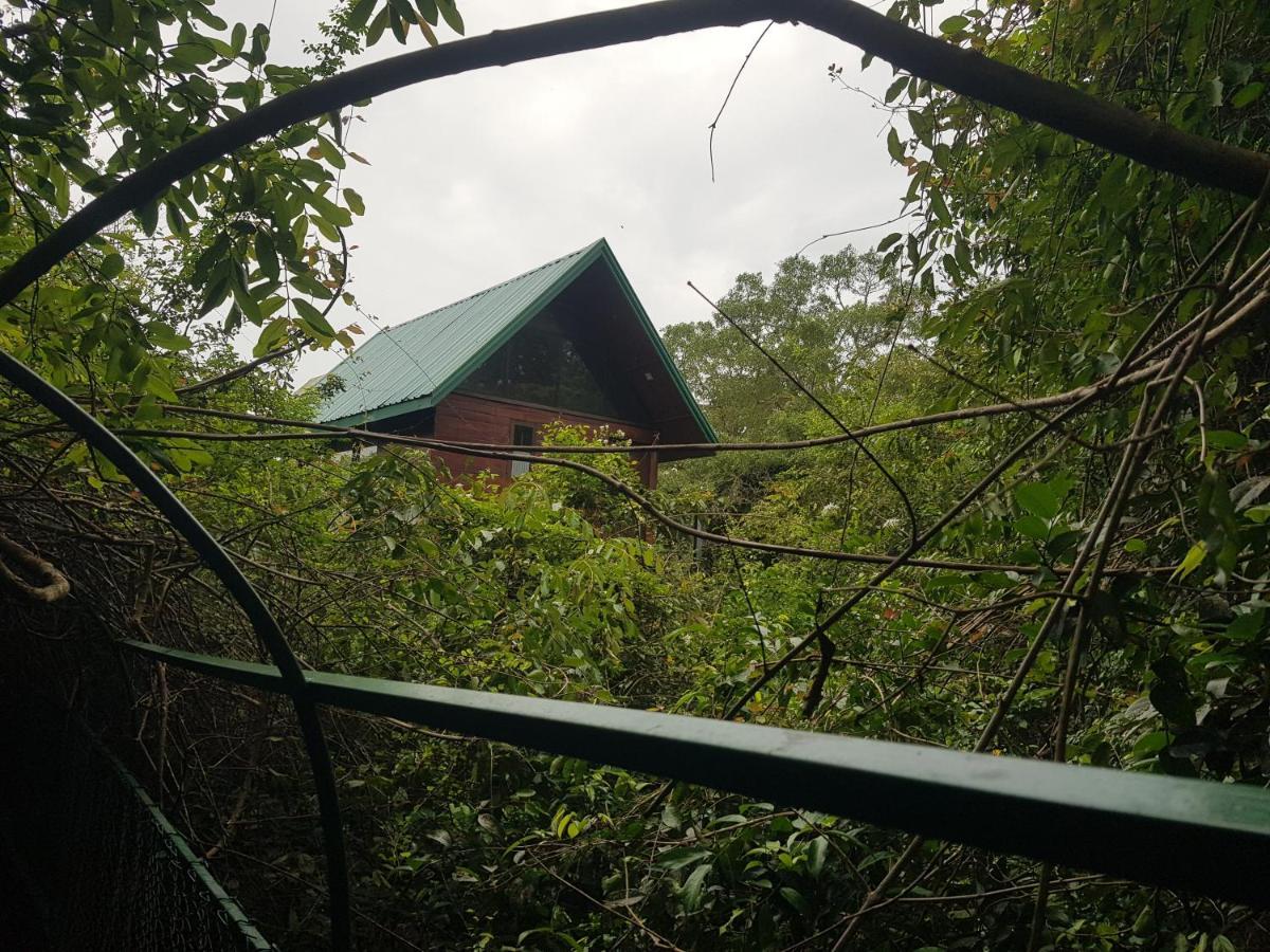 Tree House