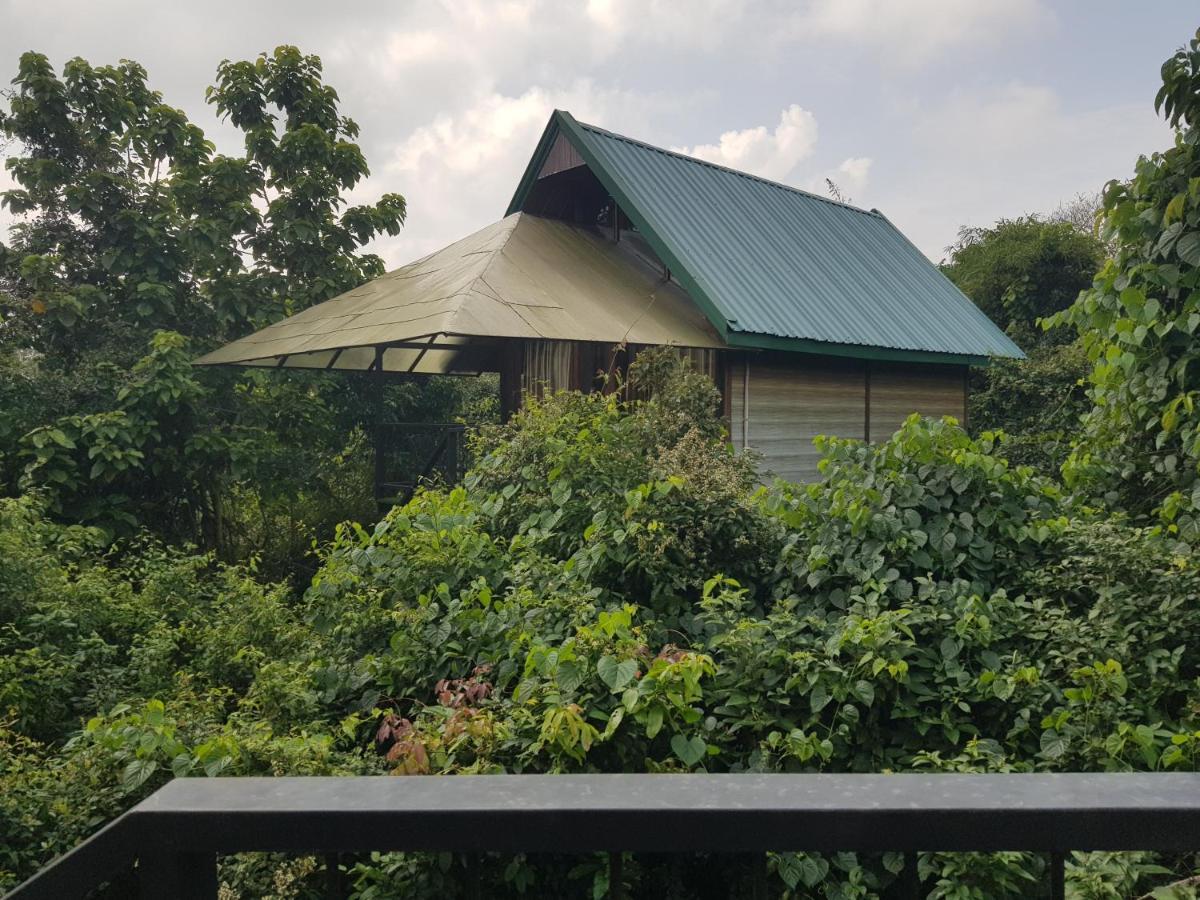 Tree House