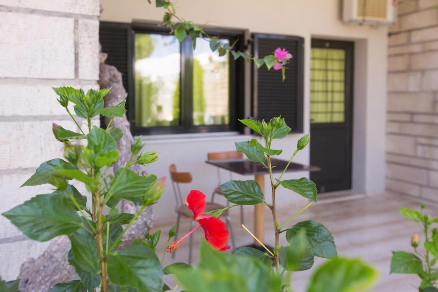 Appartamento con 1 Camera da Letto e Vista Giardino