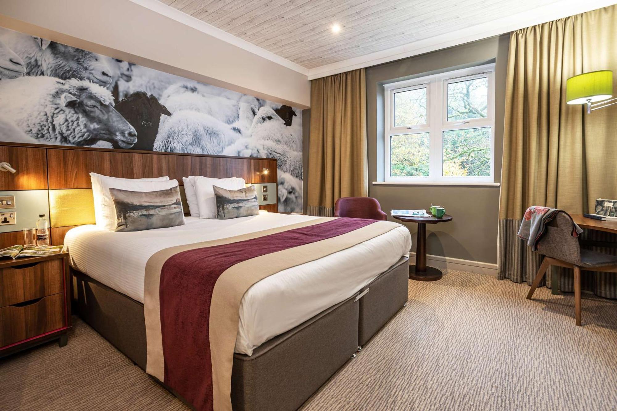 Standard King Room