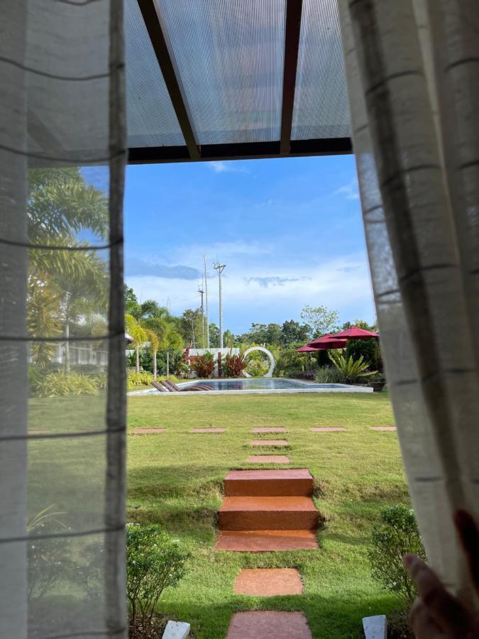 King Room with Pool View