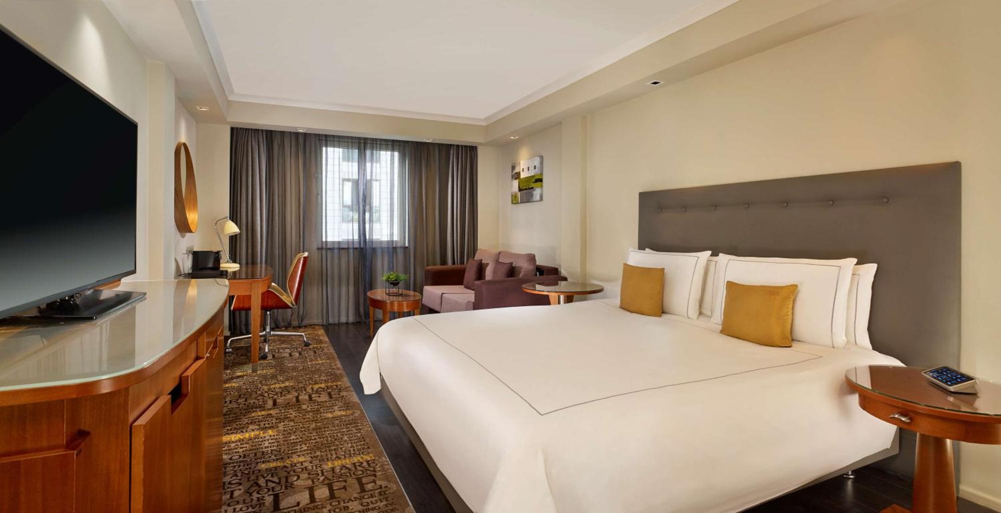 Executive King Room Sofa Bed,1516434523:JPEG