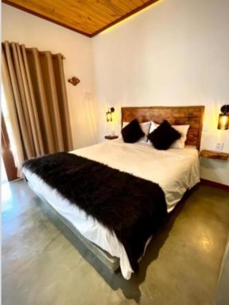 Queen Suite