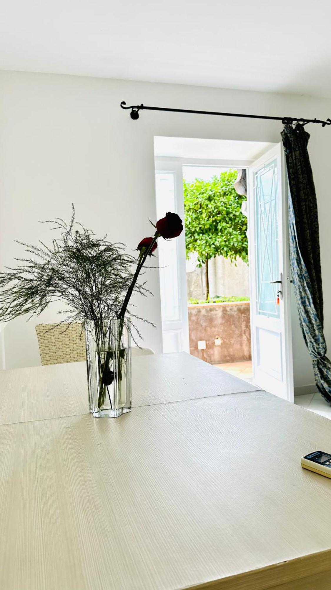 Family Room with Garden View,1557175231:JPEG