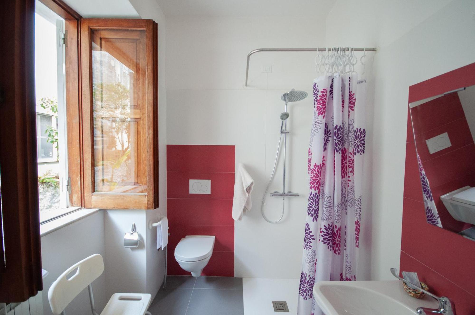 Single Room Disability Access