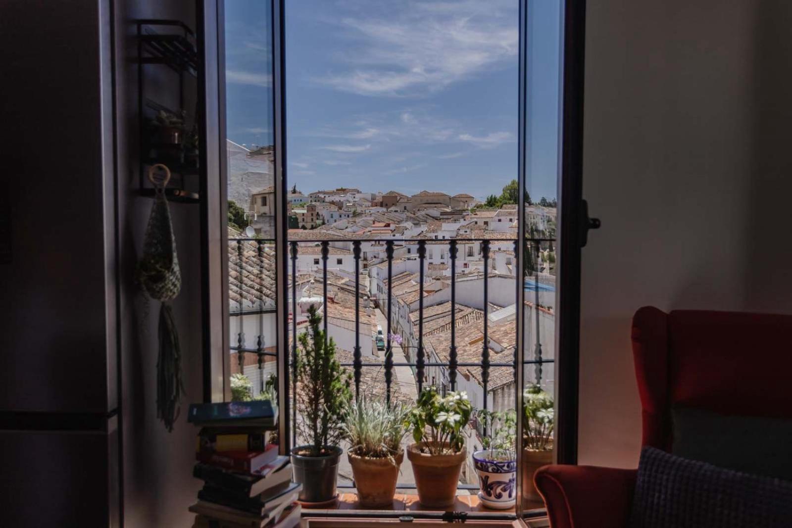 Double or Twin Room View