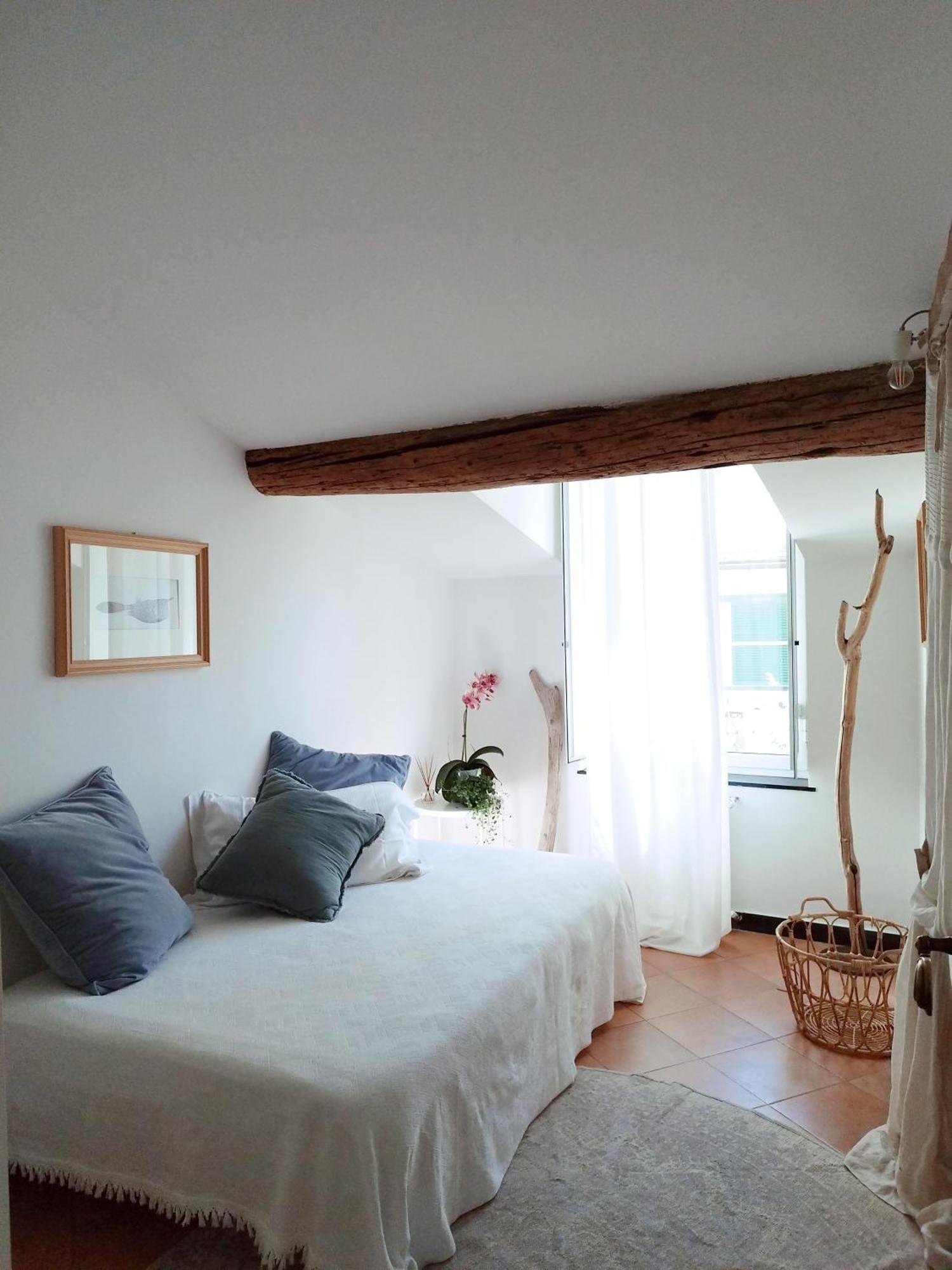 Suite Terrace