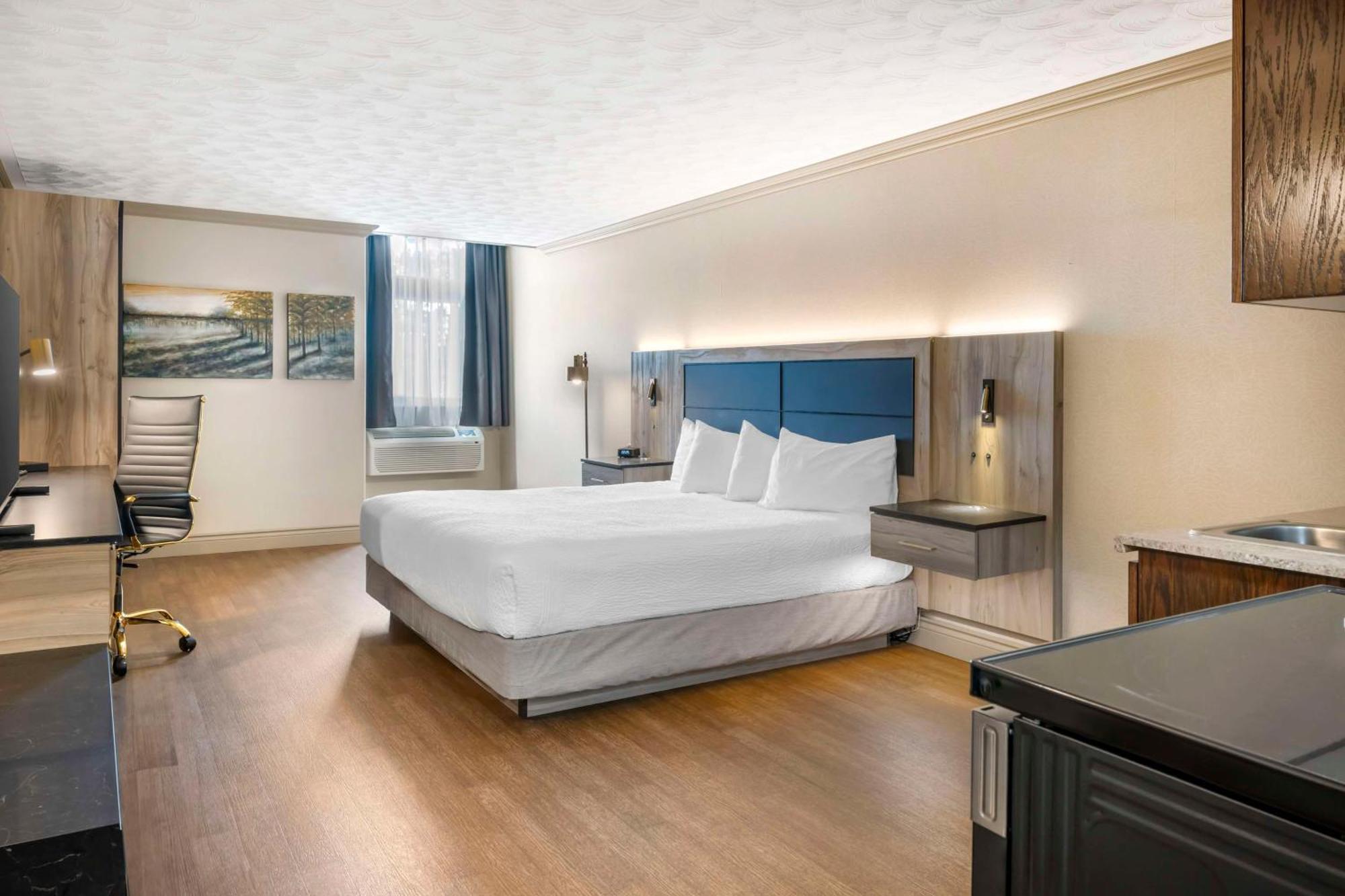 One-Bedroom King Suite with Sofa Bed and Kitchenette,1714325446:JPEG