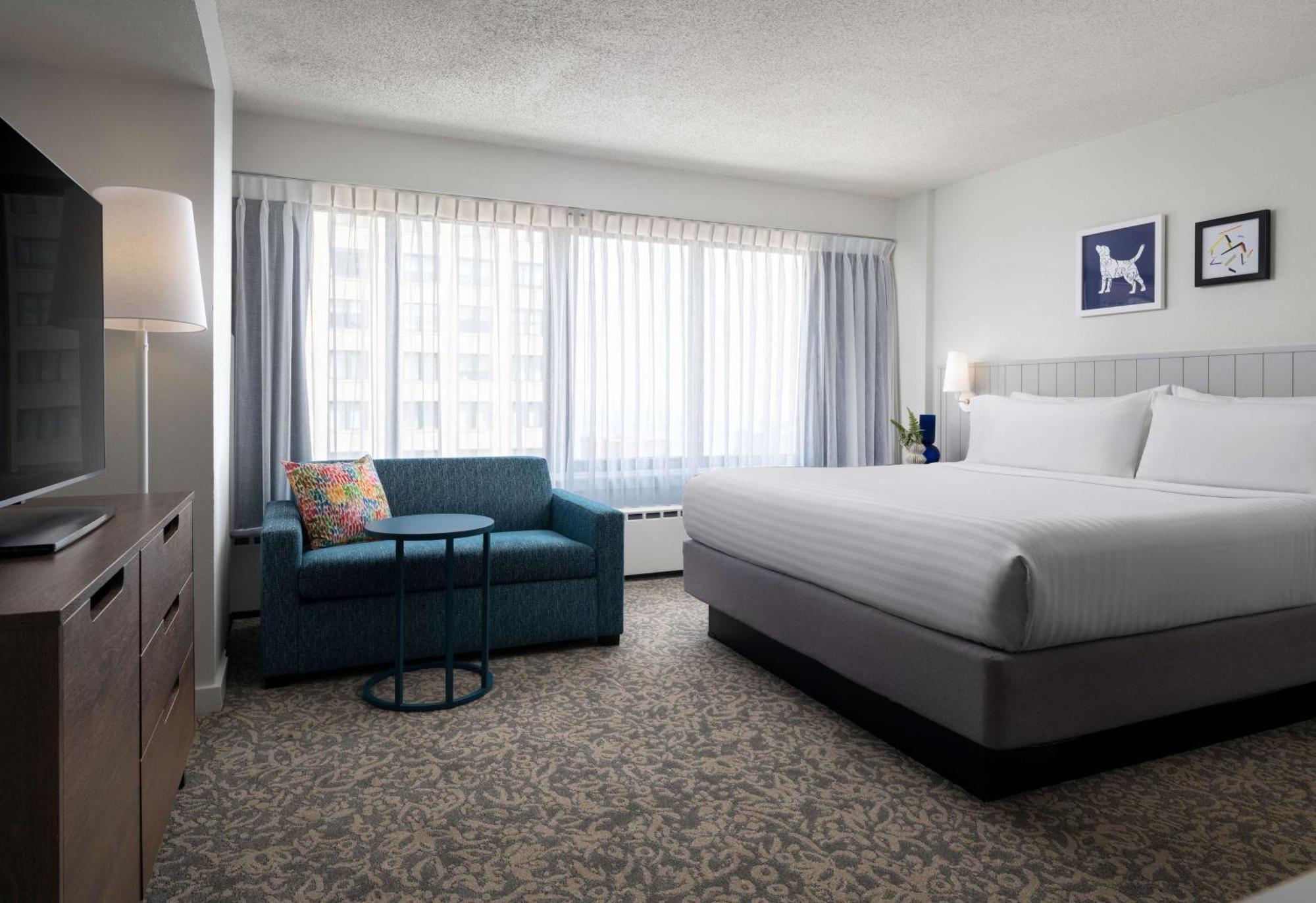 Estudio Suite cama grande