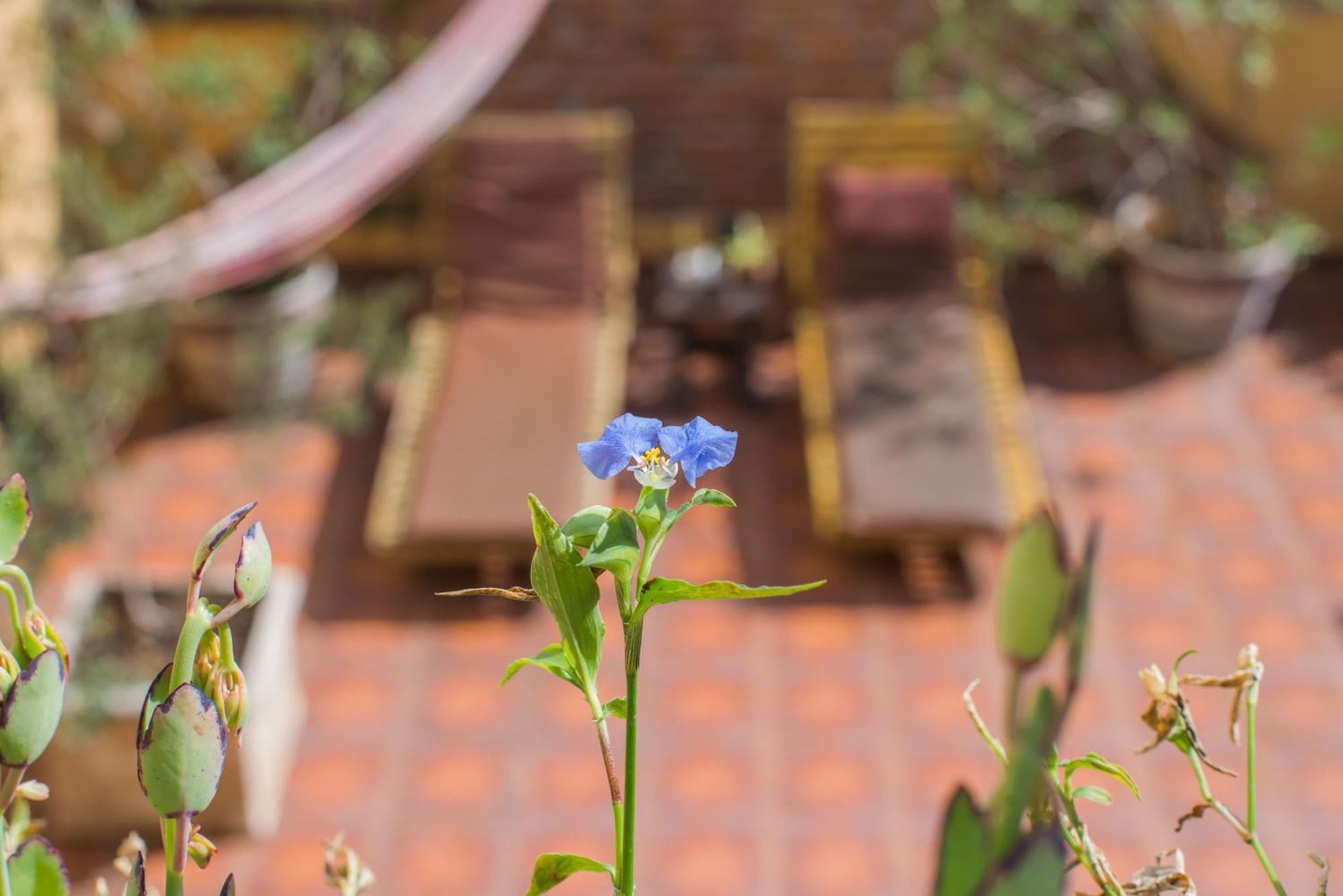 Studio with Terrace,1635264728:JPEG