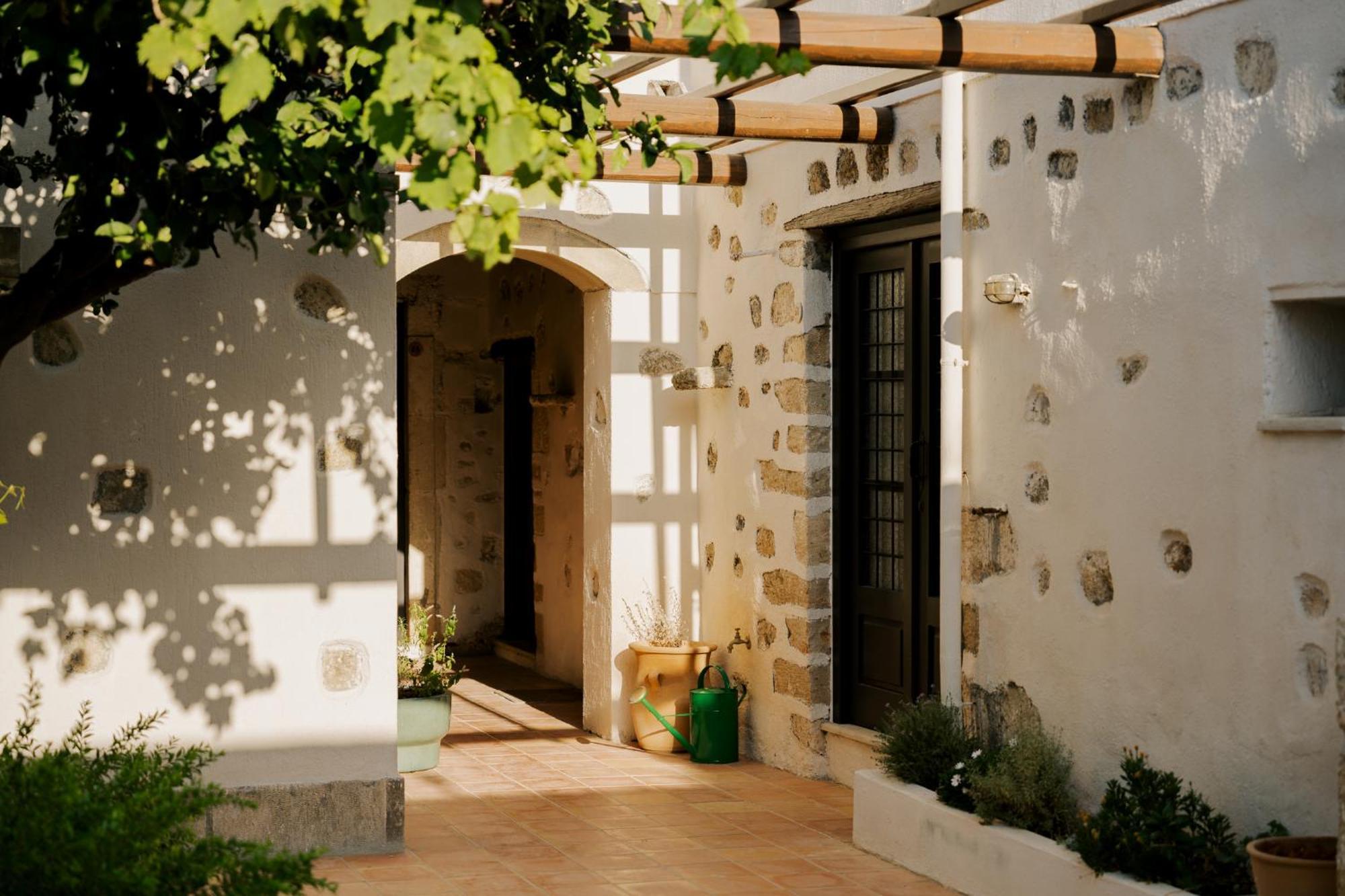 One Bedroom Traditional Apartment