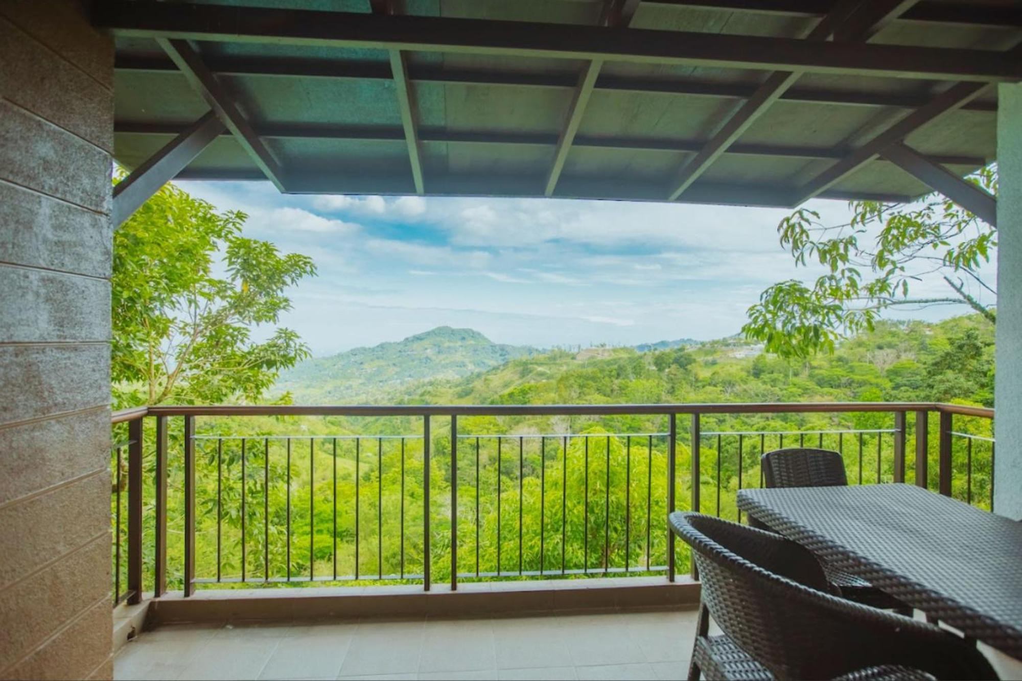 Double Room Mountain View