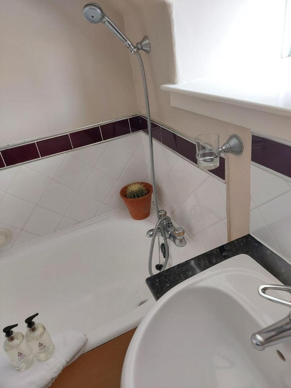 Family Room with Bathroom