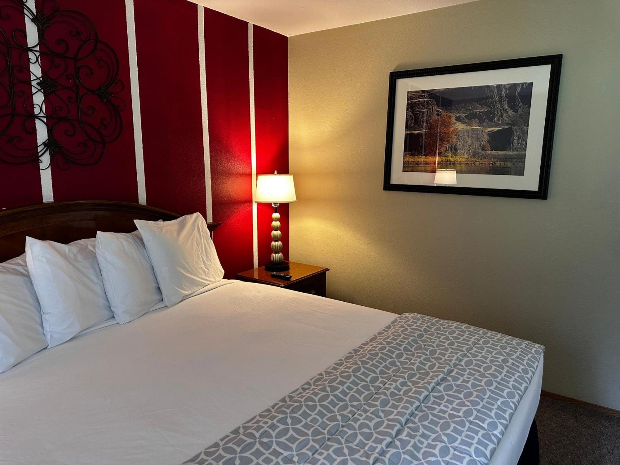 Single King Bed,1659496767:JPEG
