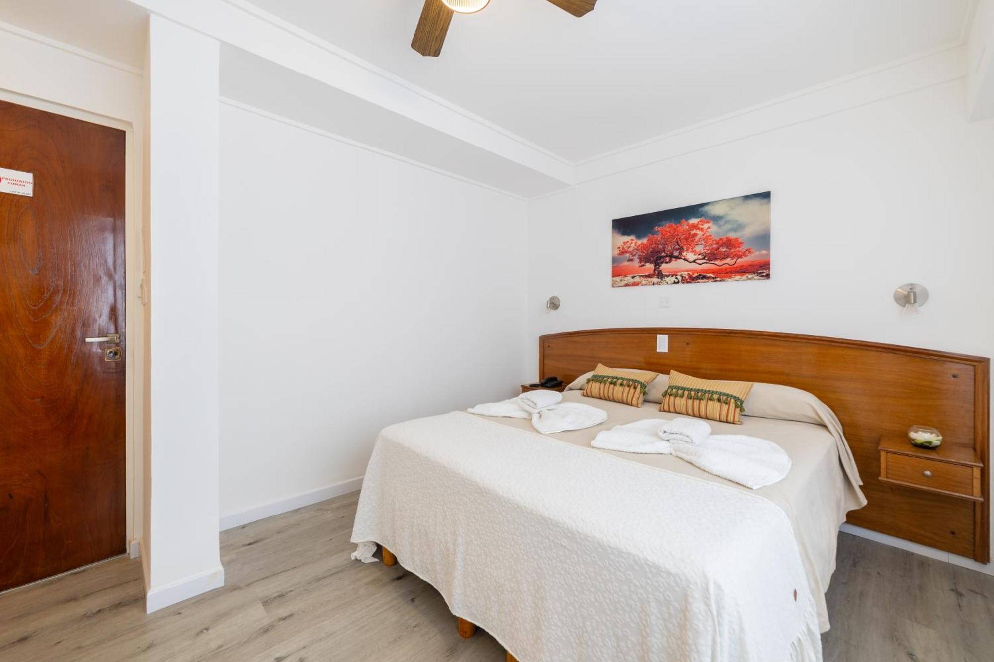 Basic Double Room,1660295412:JPEG