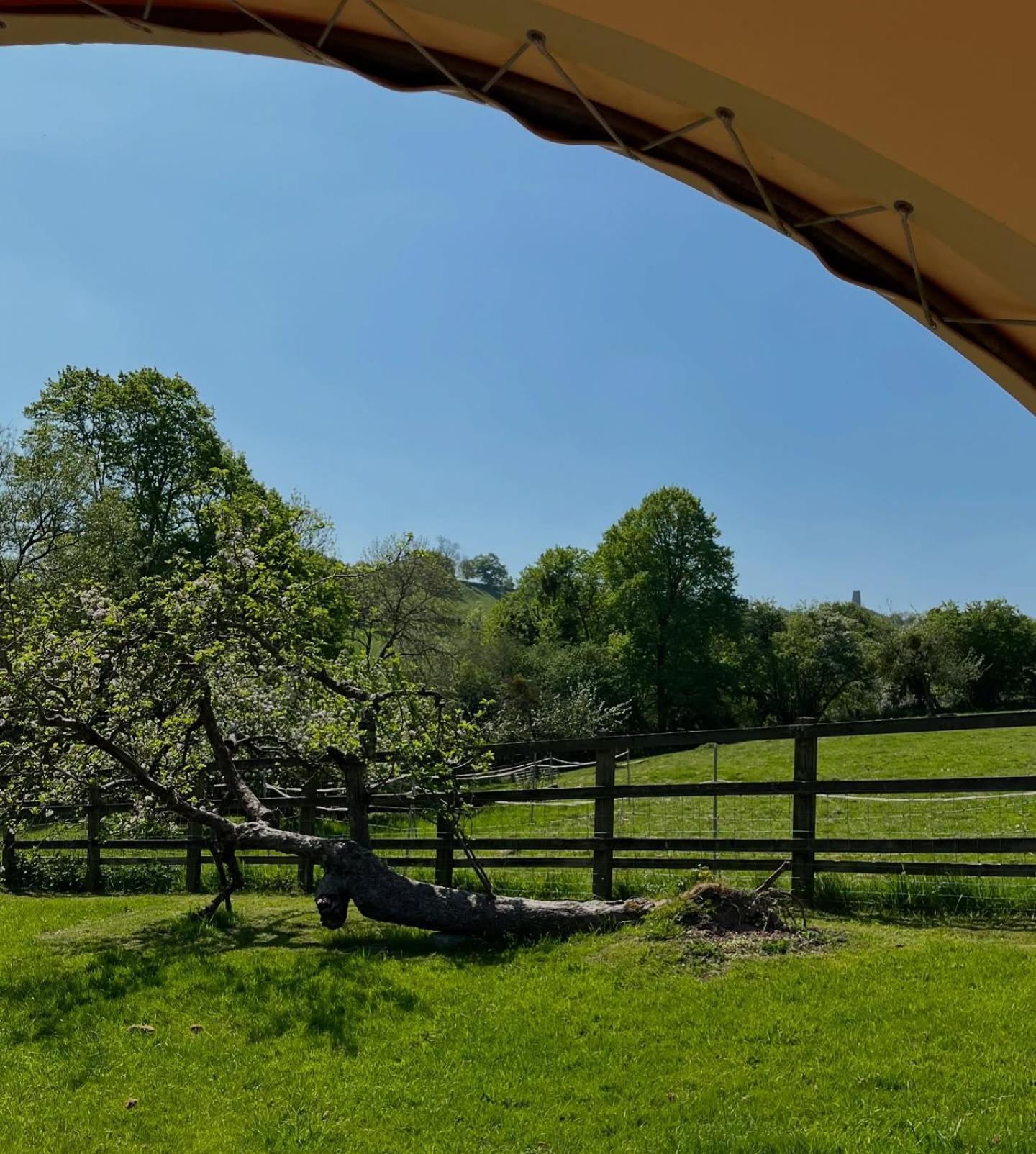 Glamping Pod Dog Friendly