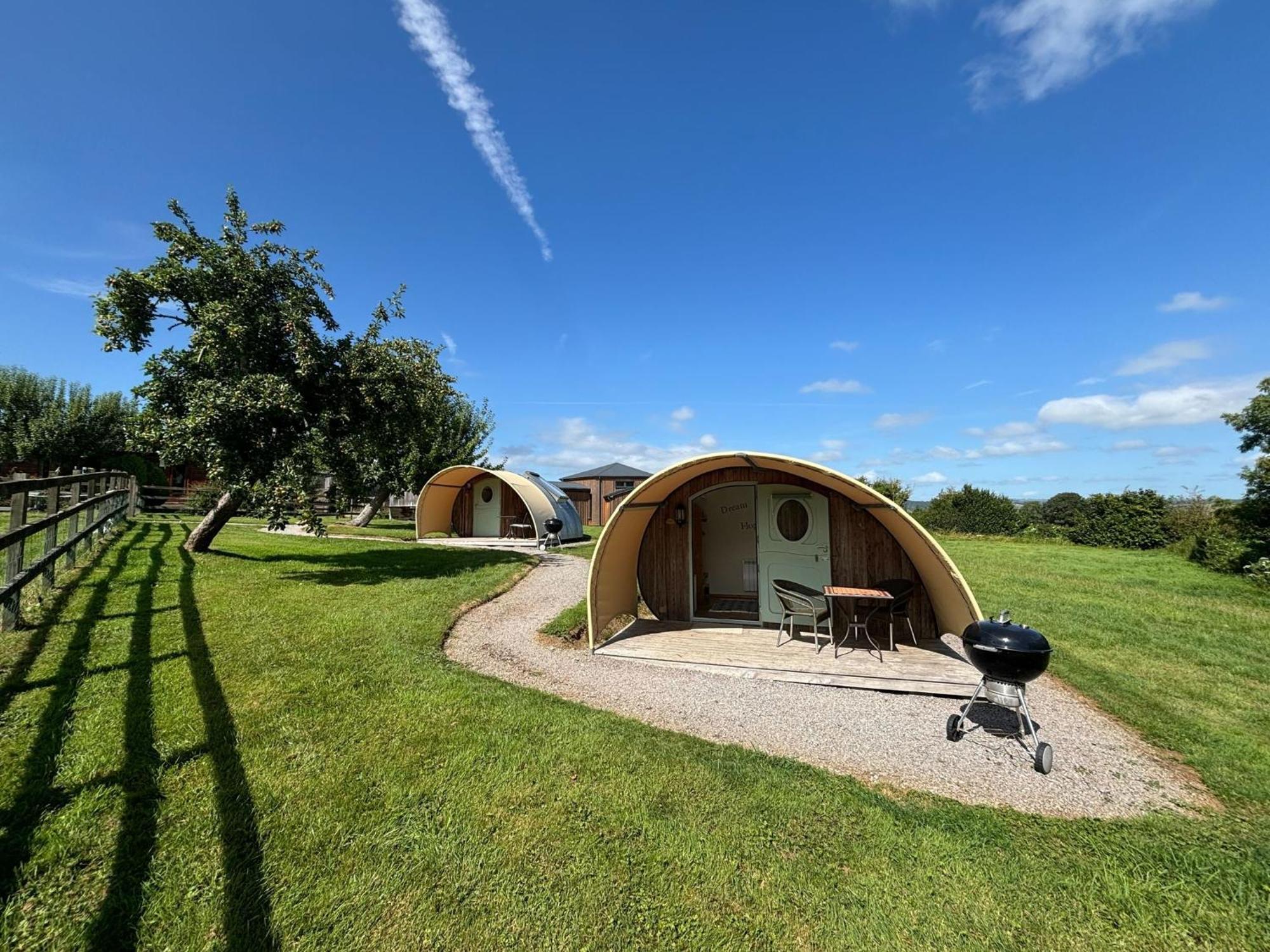 Glamping Pod Dog Friendly