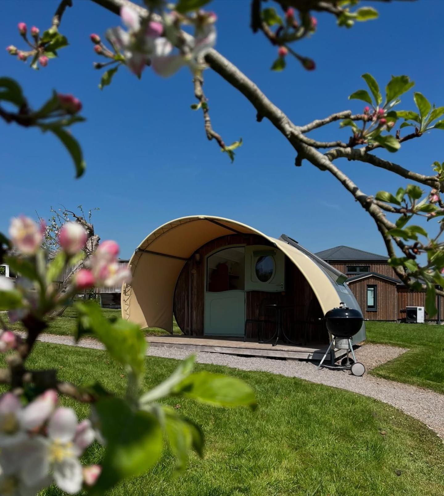 Glamping Pod Dog Friendly
