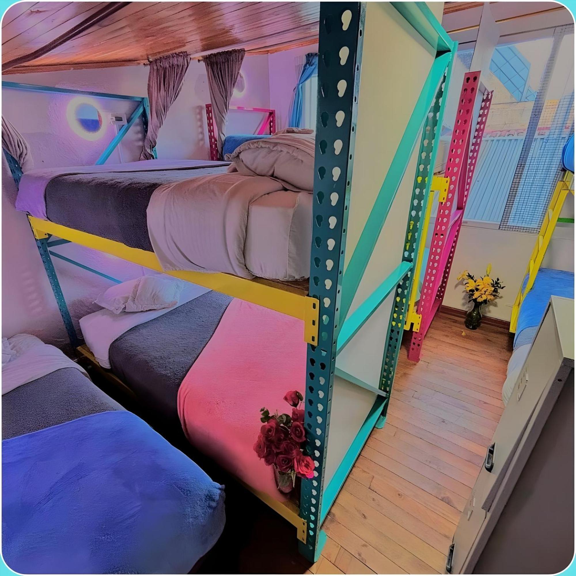 Single Bed Mixed Dormitory Room