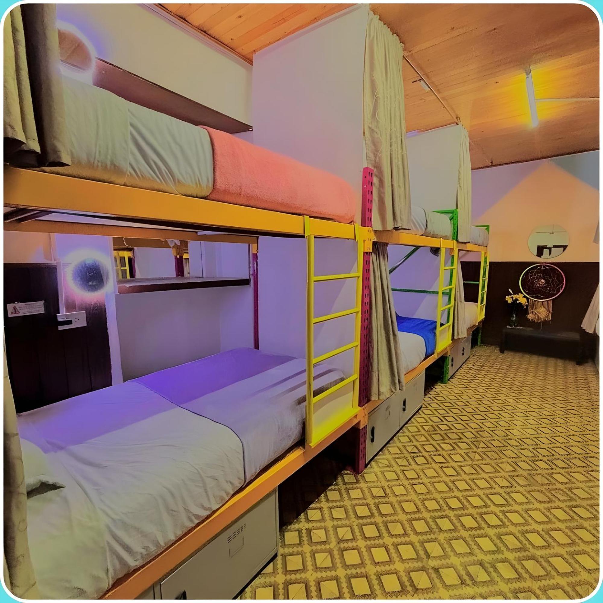 Single Bed Mixed Dormitory Room