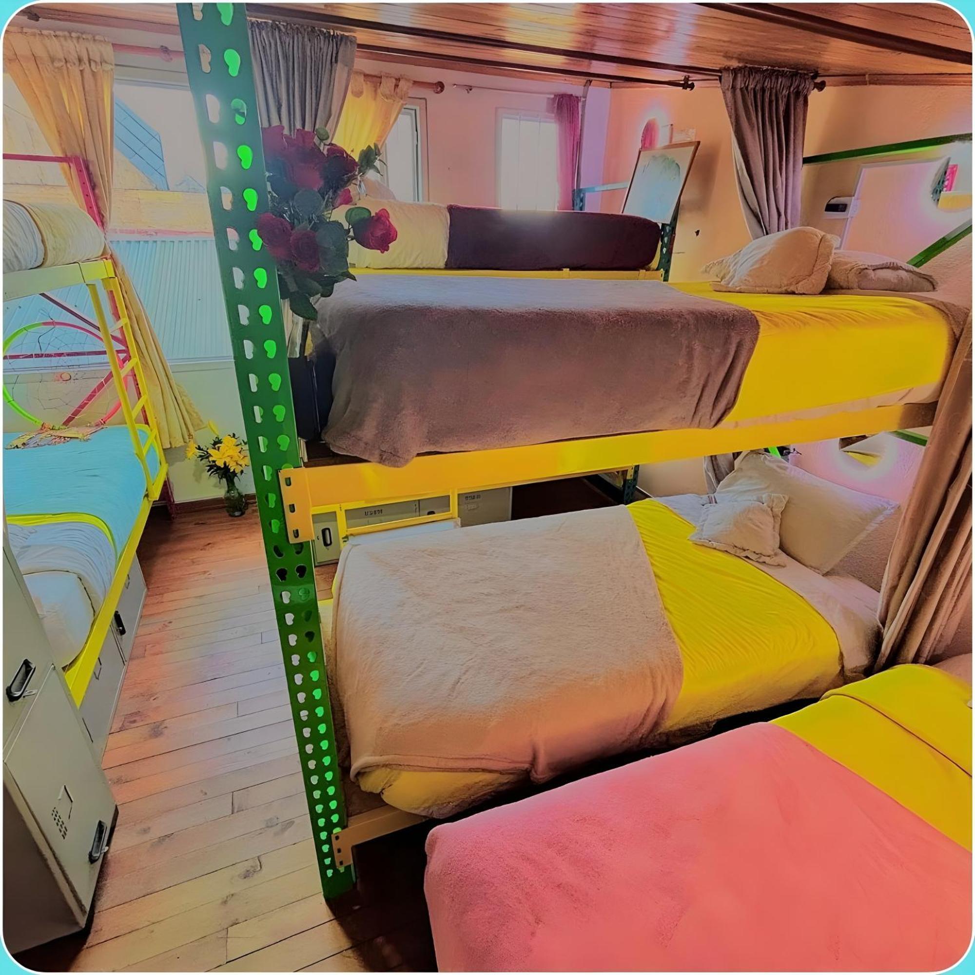 Single Bed Mixed Dormitory Room