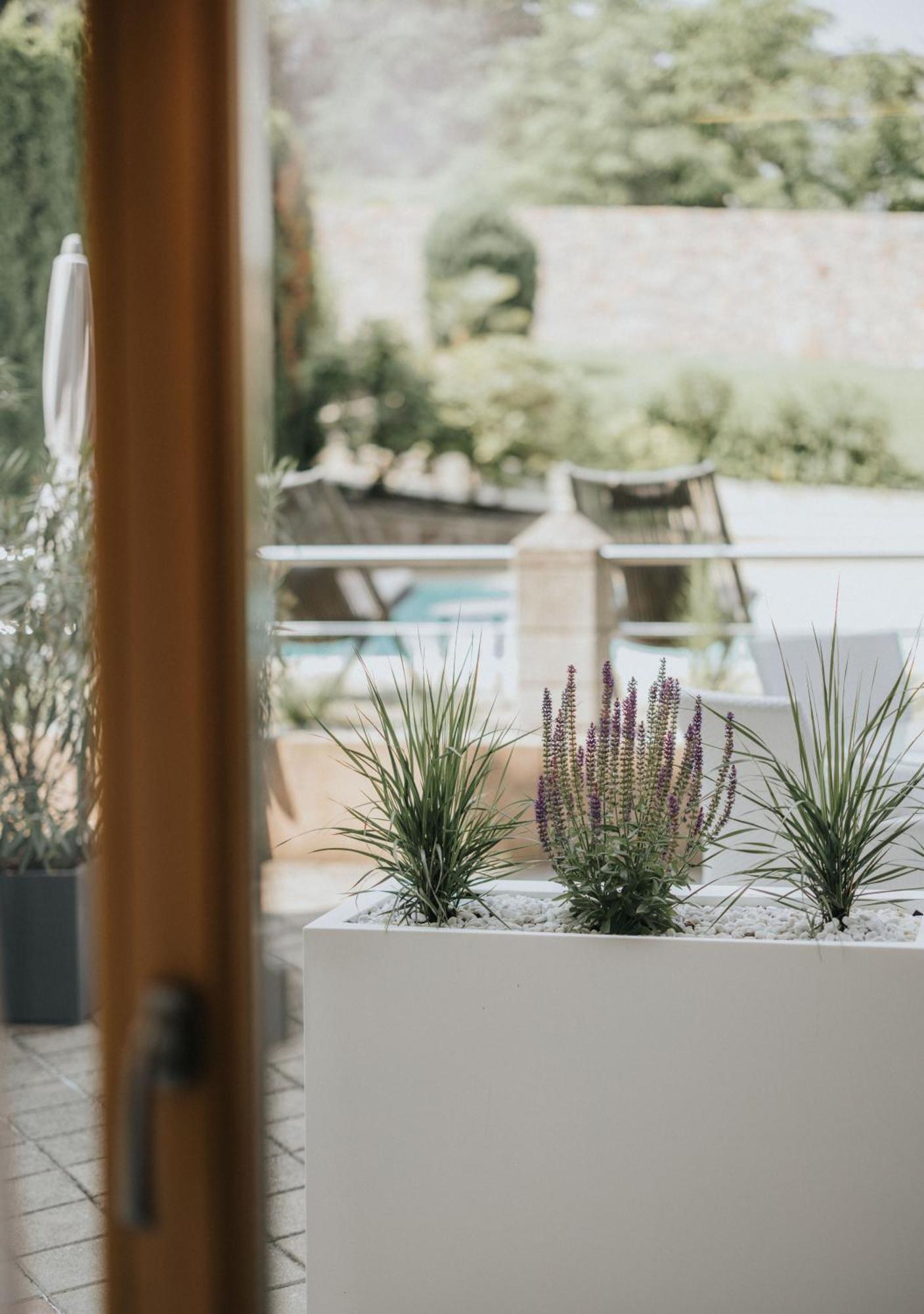 Junior Suite Terrace