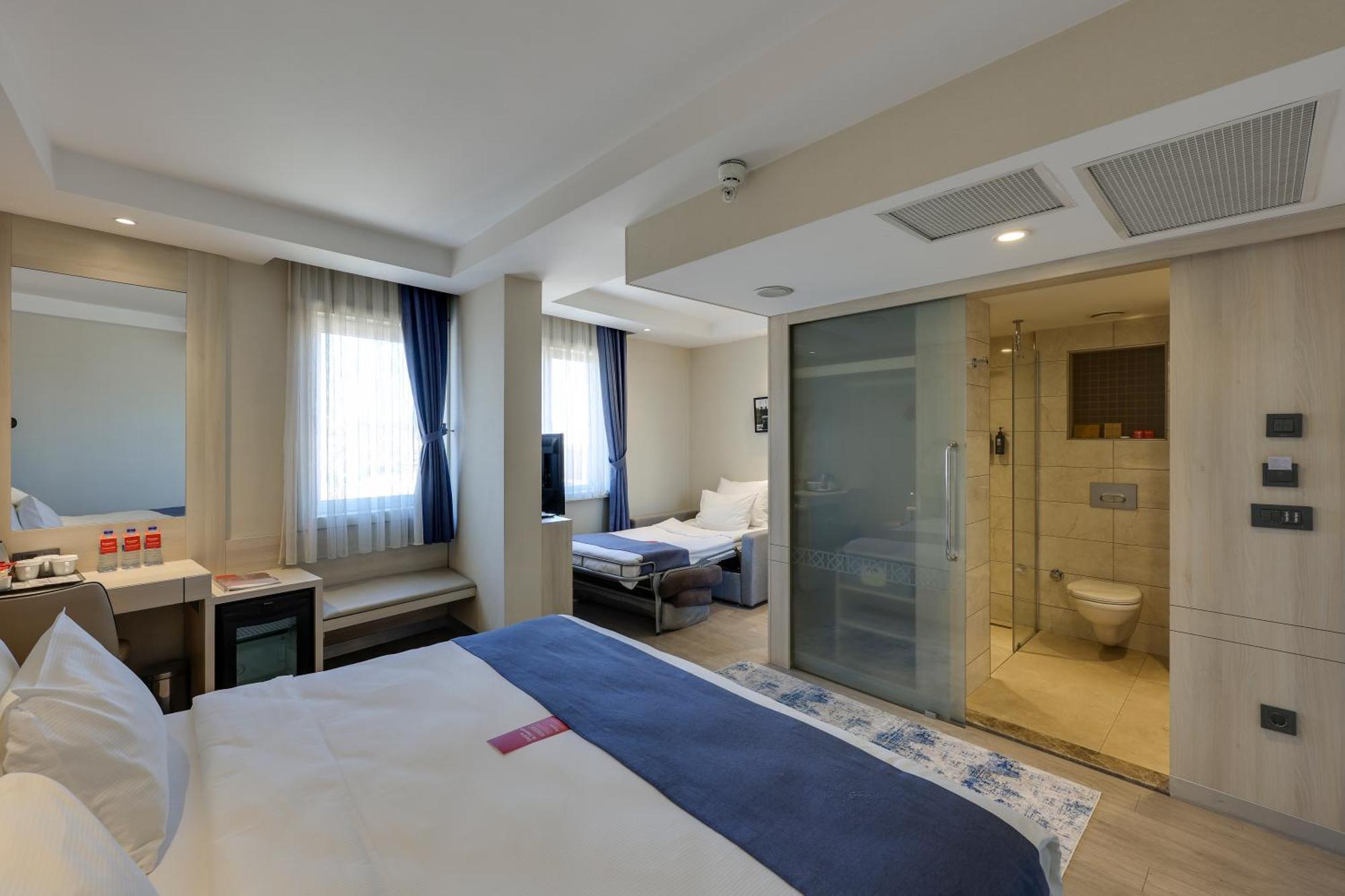 Executive Room 1 King Bed Sofa Bed