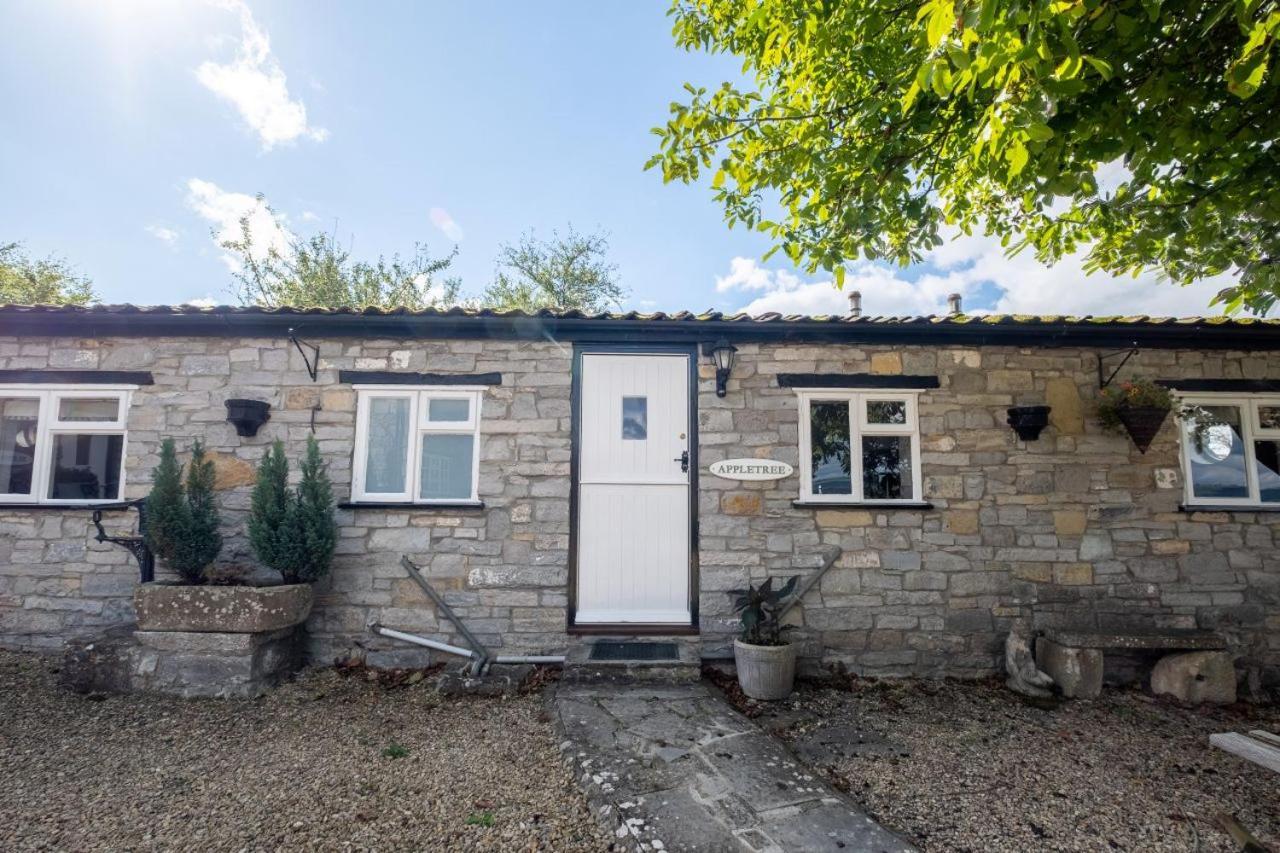 One-Bedroom House Dog Friendly