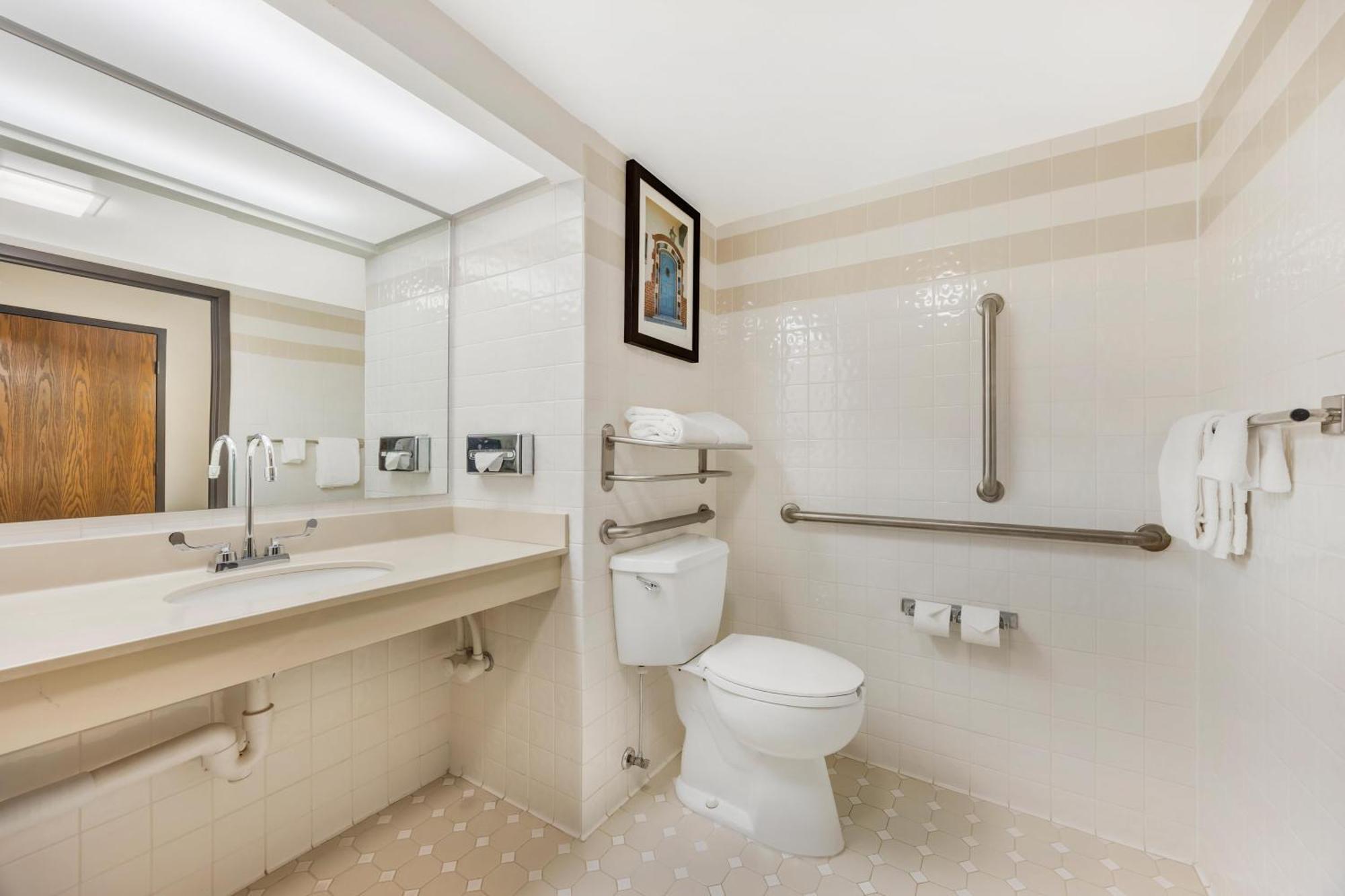 Deluxe King Room Accessible Roll Shower