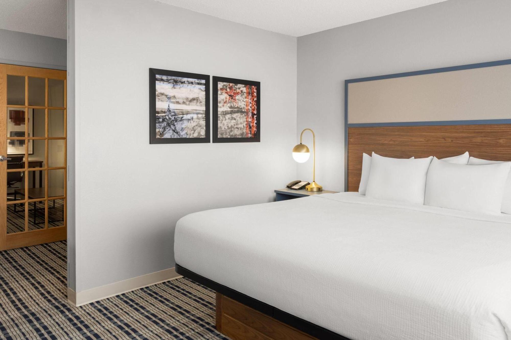 1 King Bed, Sofa Bed, One-Bedroom Suite, Non-Smoking
