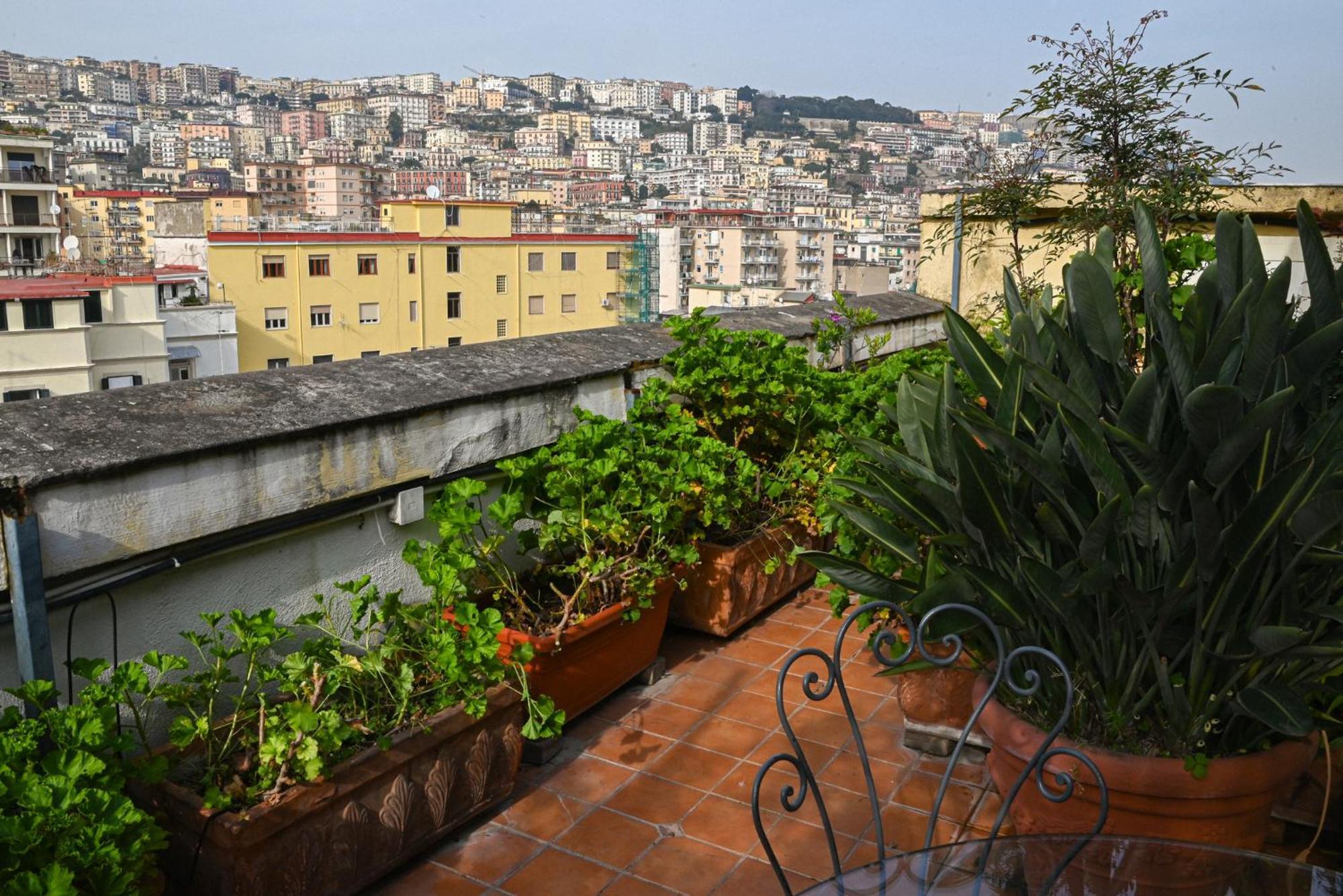 Single Room Terrace