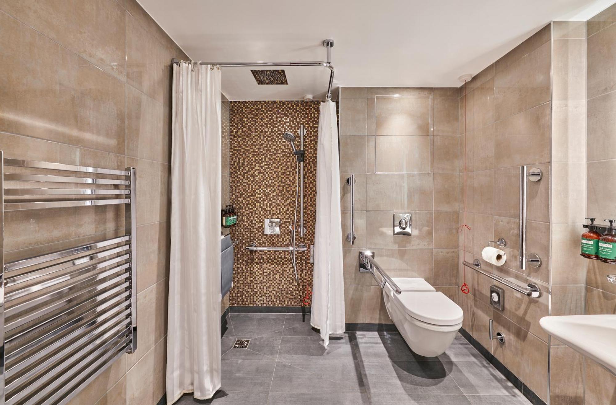 King Room Accessible Shower