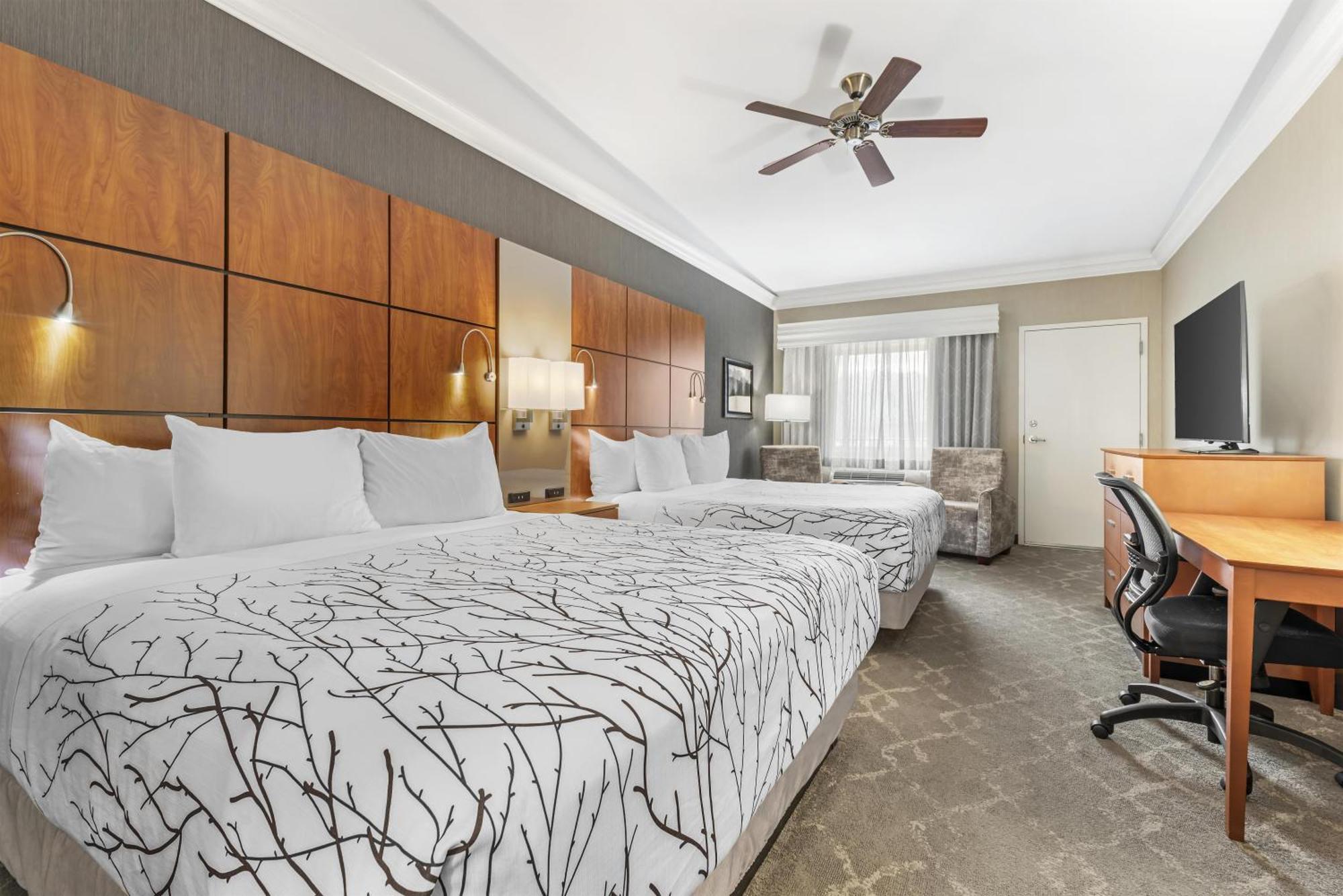 King Room Two King Beds Mountain View Non-Smoking