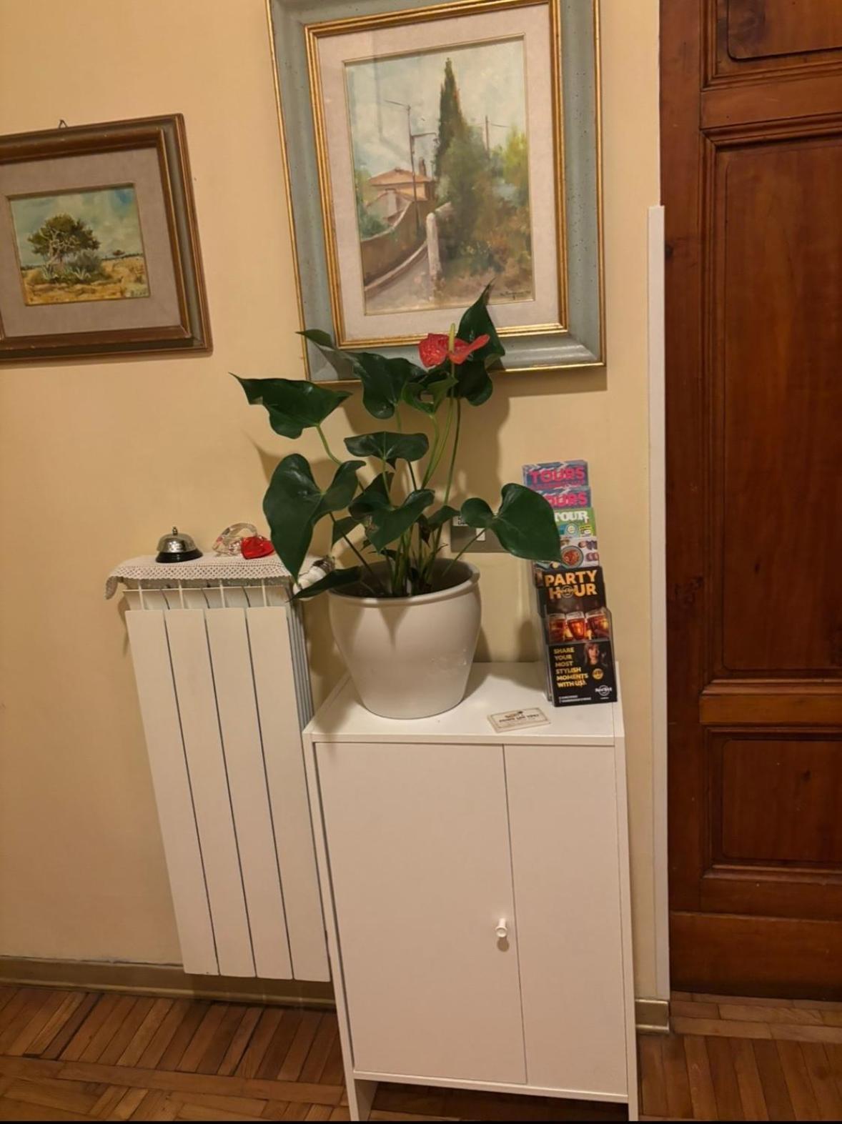 Spacious Double Room