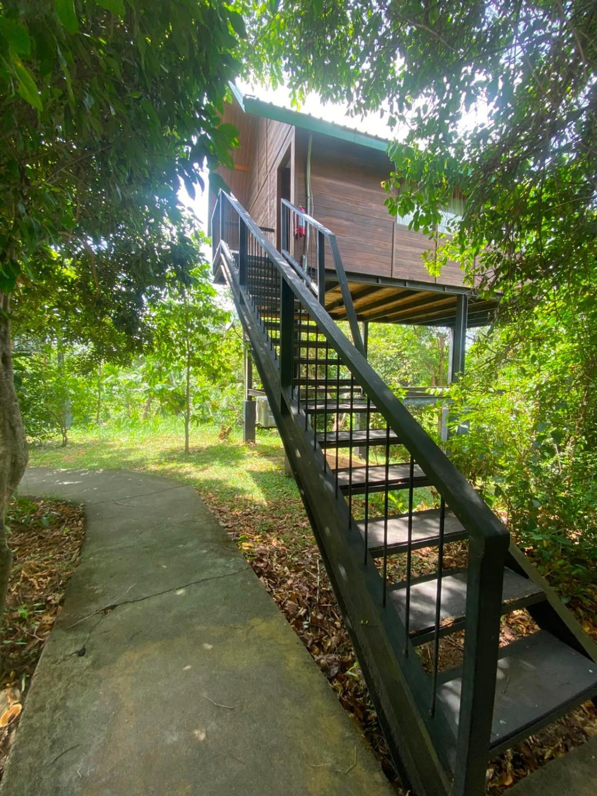Tree House