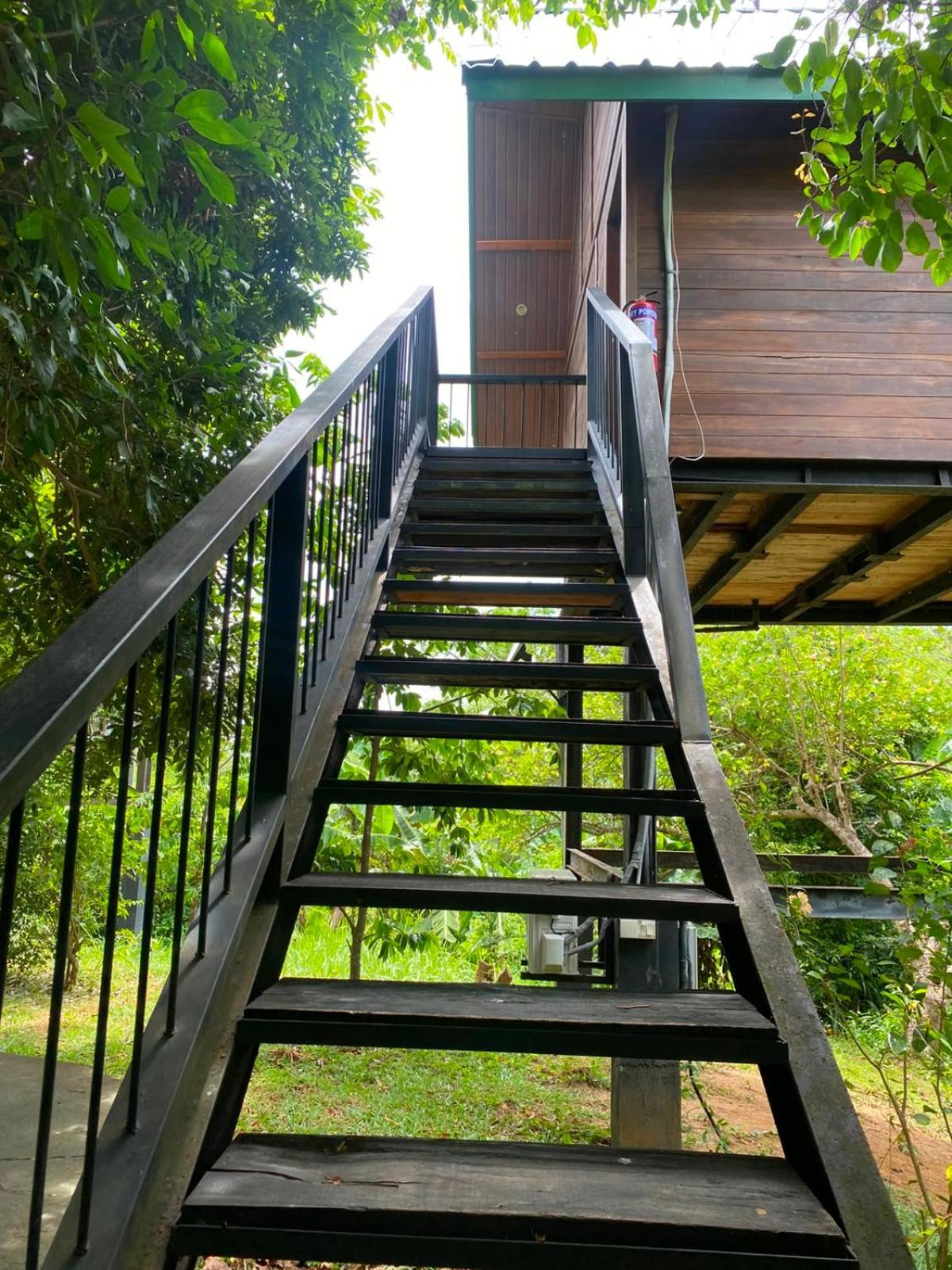 Tree House