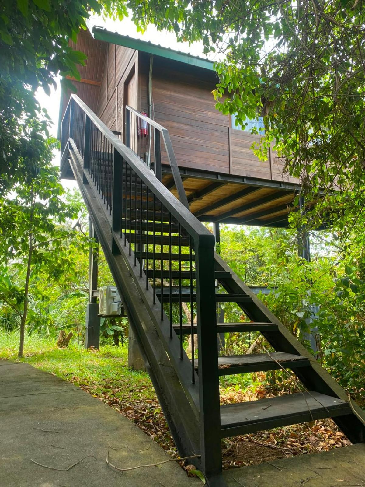 Tree House