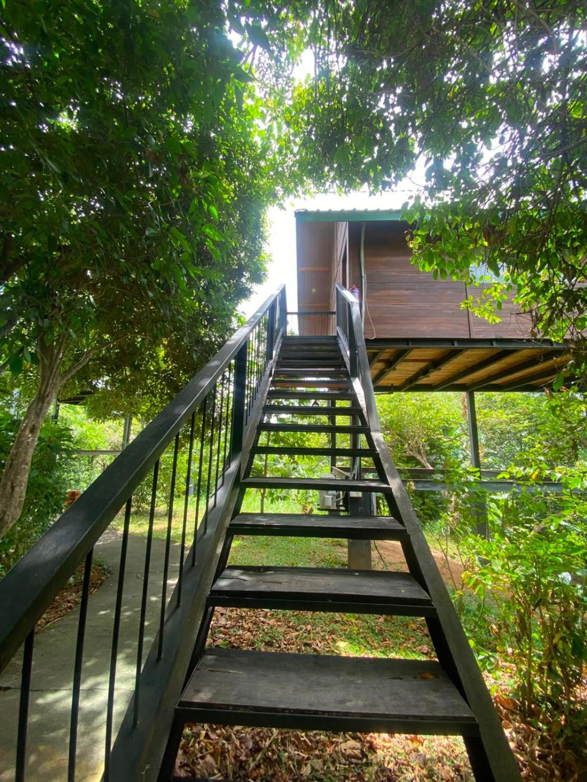 Tree House